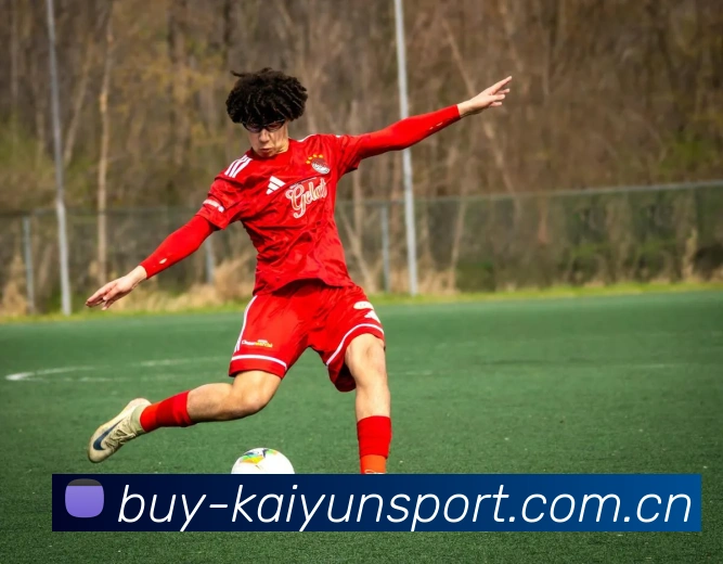 开云体育APP 封面图